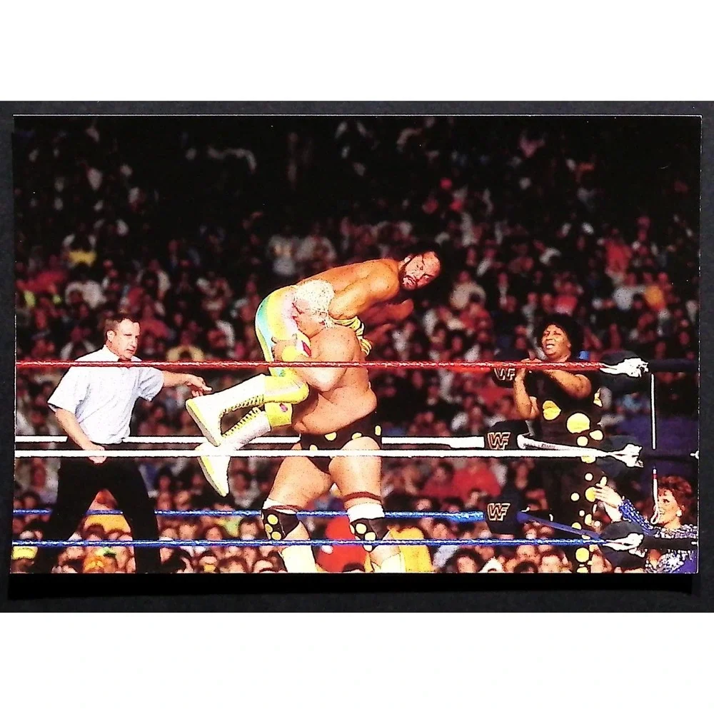 DuoCards‎ Trading Cards WWF WrestleMania Attitude Era RAW 90s Lot 18x #